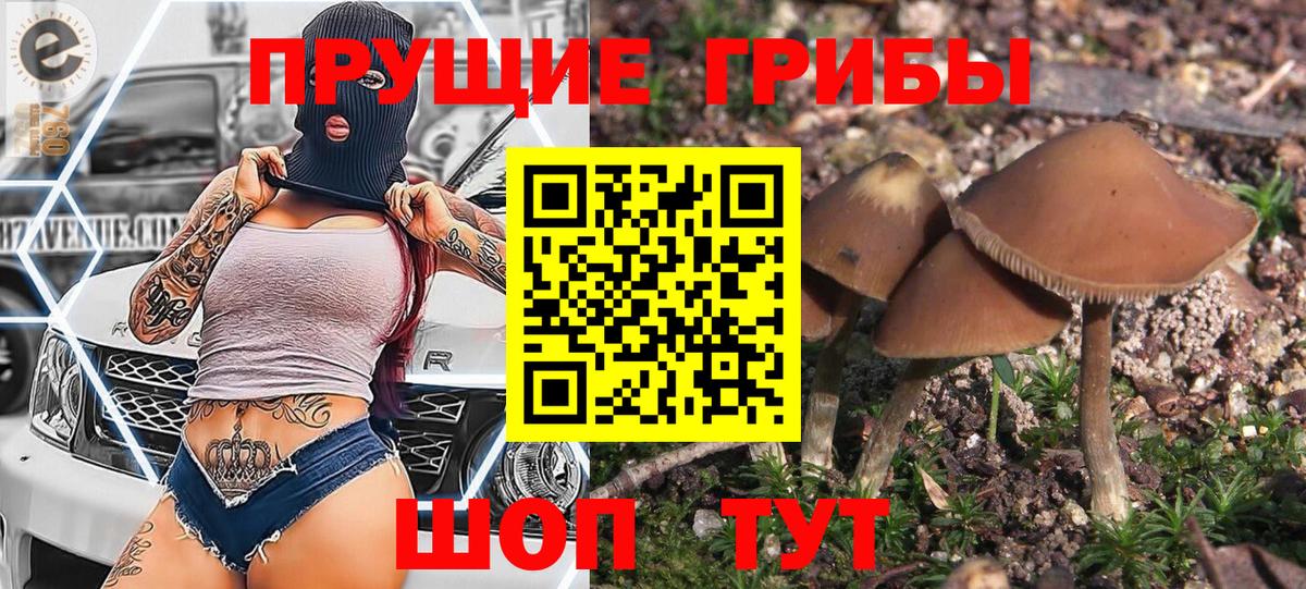 Серпухов  Галлюциногенные грибы мицелий  Псилоцибиновые грибы Psilocybe  что такое наркотик  Вход с VPN 